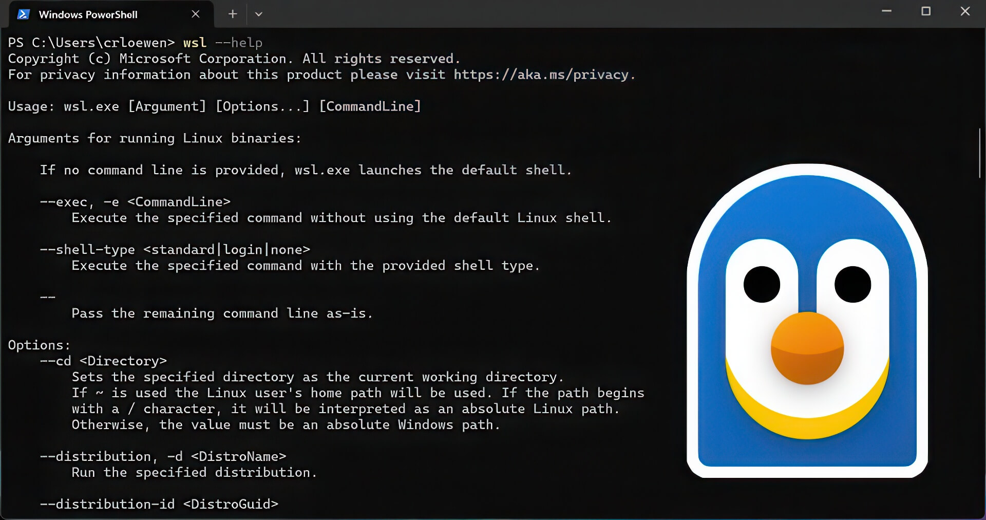 Microsoft Chính Thức Mở Mã Nguồn Windows Subsystem For Linux Sau 9 Năm Phát Triển 02
